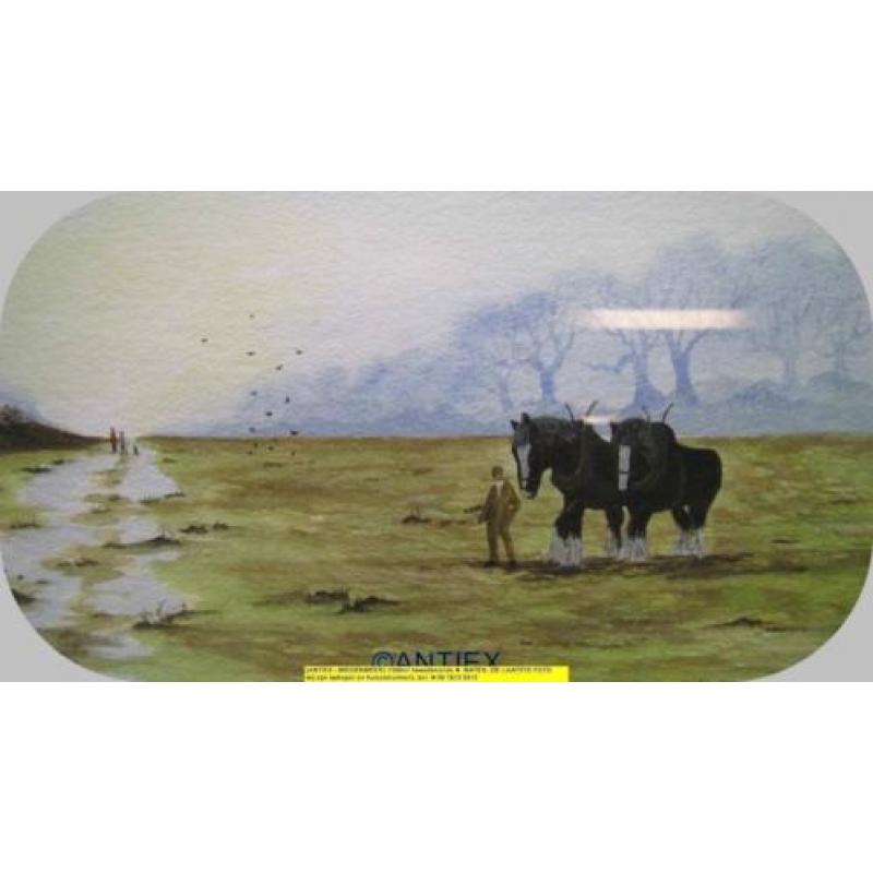 9692 - aquarel paarden - William James - € 35