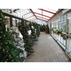 Kerstboom Groen 185 cm PE-PVC (showmodel) kerst 121