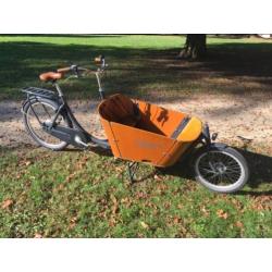 Mooie Babboe City bakfiets met nieuwe regentent