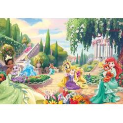 Disney Princess vlies fotobehang Tuin. *Muurdeco4kids