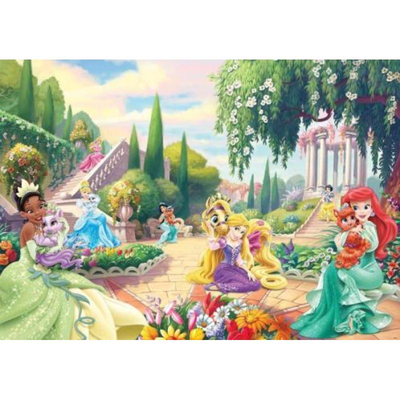 Disney Princess vlies fotobehang Tuin. *Muurdeco4kids