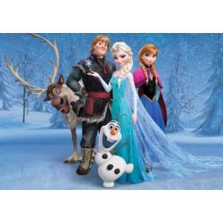 Frozen fotobehang XL Disney behang *Muurdeco4kids -10%