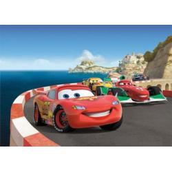 Fotobehang DISNEY CARS Gratis Lijm en Verzenden